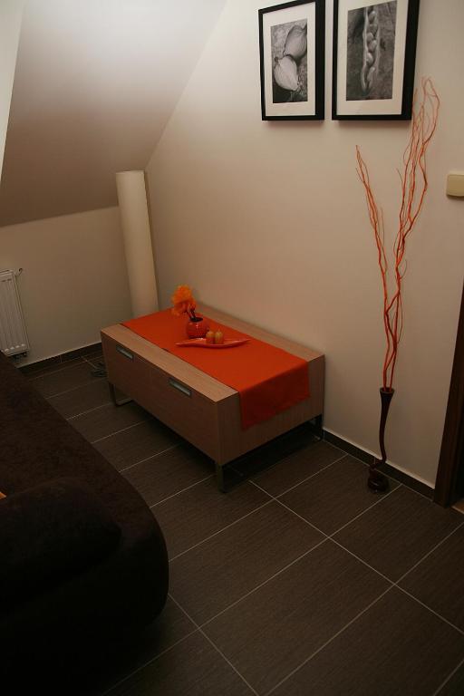 Penzion a relax centrum Andělka Hanusovice Ruang foto