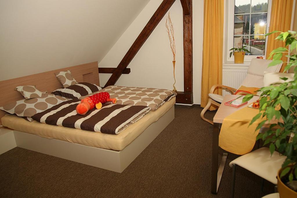 Penzion a relax centrum Andělka Hanusovice Ruang foto